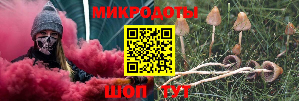 Верхняя Салда  Псилоцибиновые грибы MAGIC MUSHROOMS  Вход с VPN  Галлюциногенные грибы прущие грибы 
